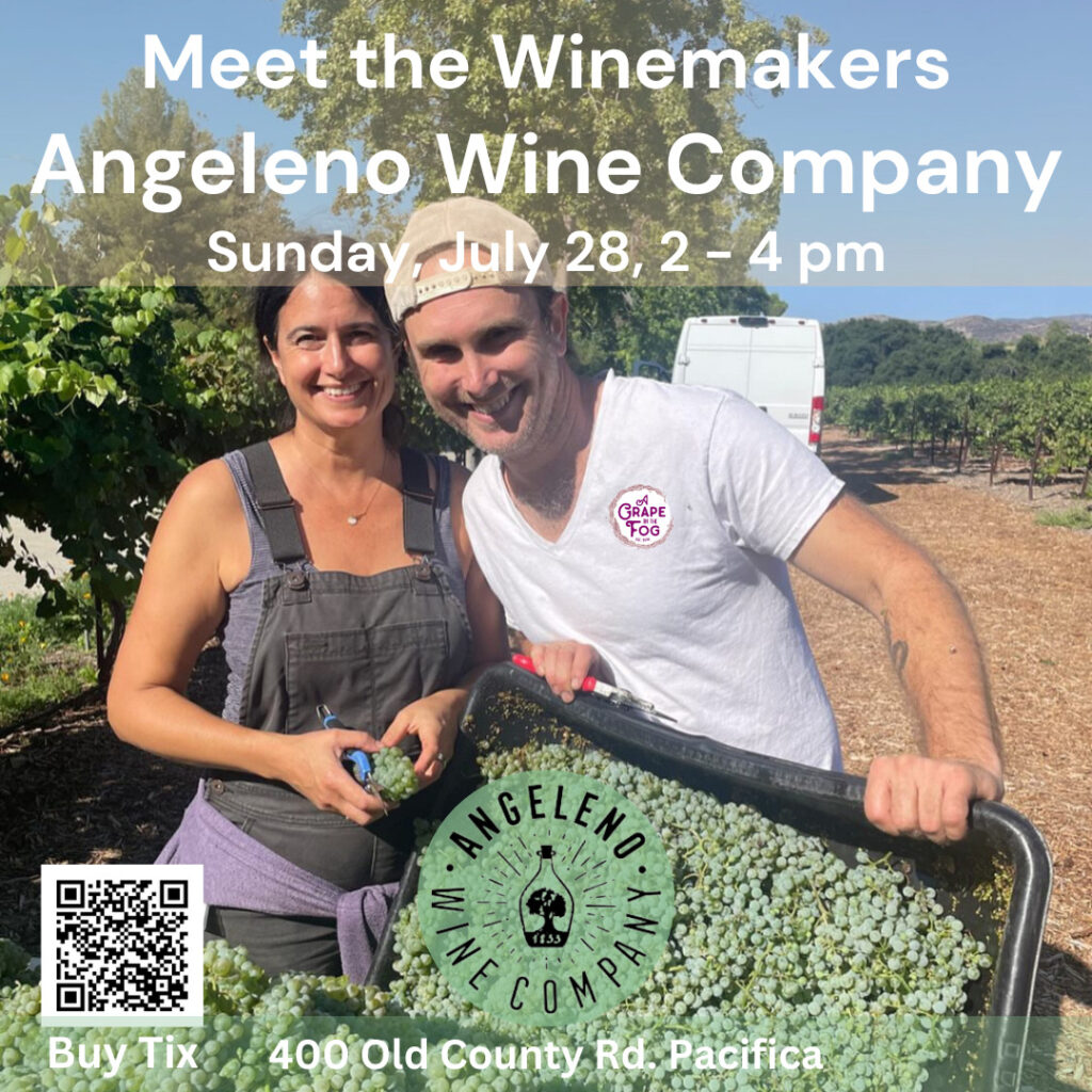 Meet the Winemakers!